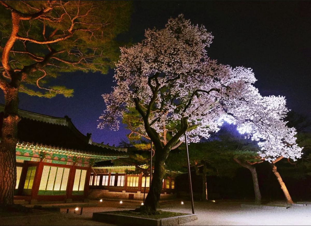 Cách tham quan 5 cung điện nổi tiếng ở Seoul miễn phí