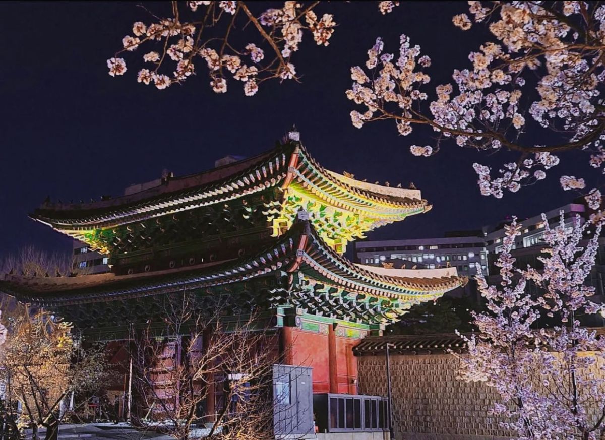 Cách tham quan 5 cung điện nổi tiếng ở Seoul miễn phí