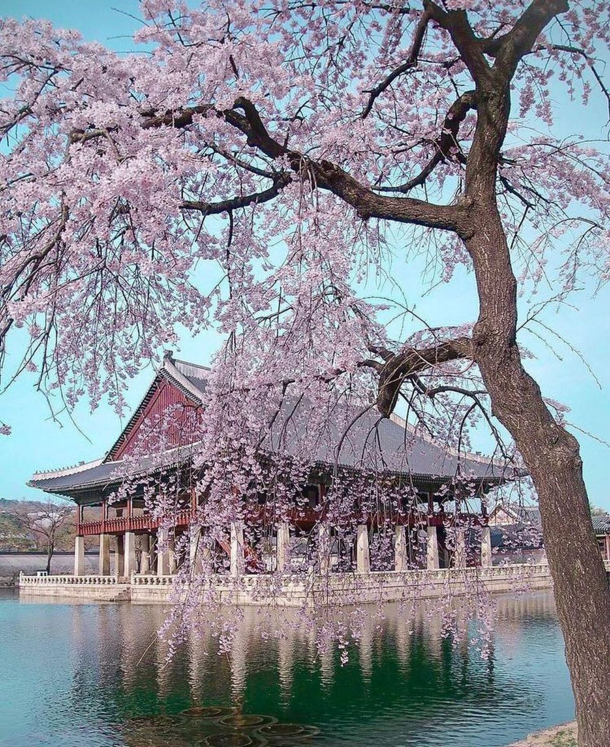 Cách tham quan 5 cung điện nổi tiếng ở Seoul miễn phí