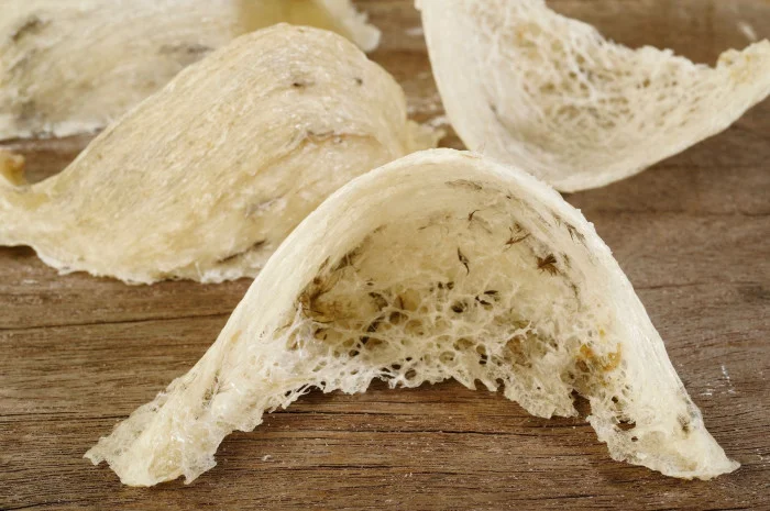 Món ăn đắt nhất thế giới
