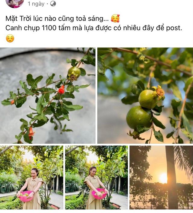 Mỹ Tâm và Mai Tài Phến