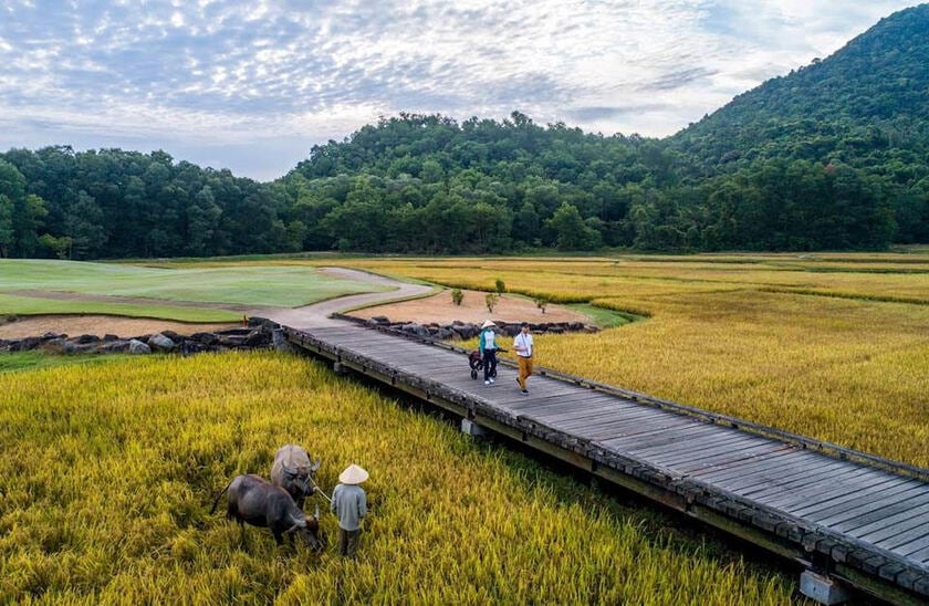 Du lịch xanh tại Việt Nam