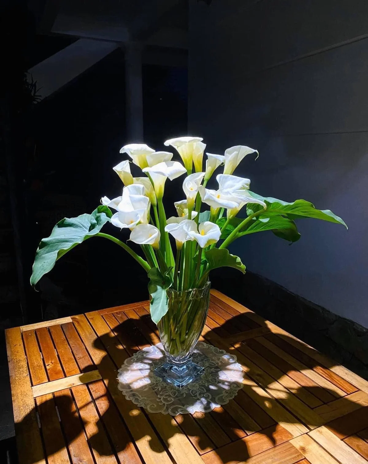 Loài hoa “đỏng đảnh” nhưng nhất định phải cắm vào mùa hè