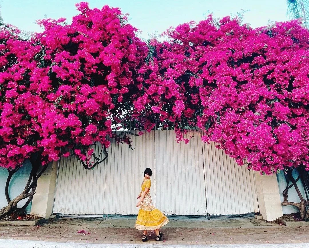 Du lịch Vũng Tàu
