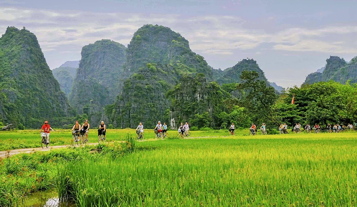 Du lịch Hạ Long
