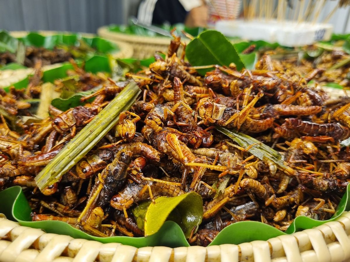 Du lịch Pattaya