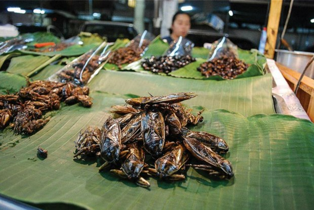 Bánh cuốn cà cuống
