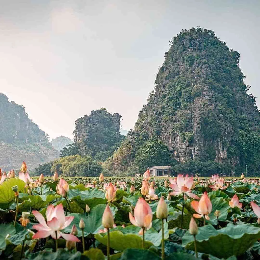Phát hiện thêm một ''Vịnh Hạ Long trên cạn'' cách Hà Nội chỉ 80km
