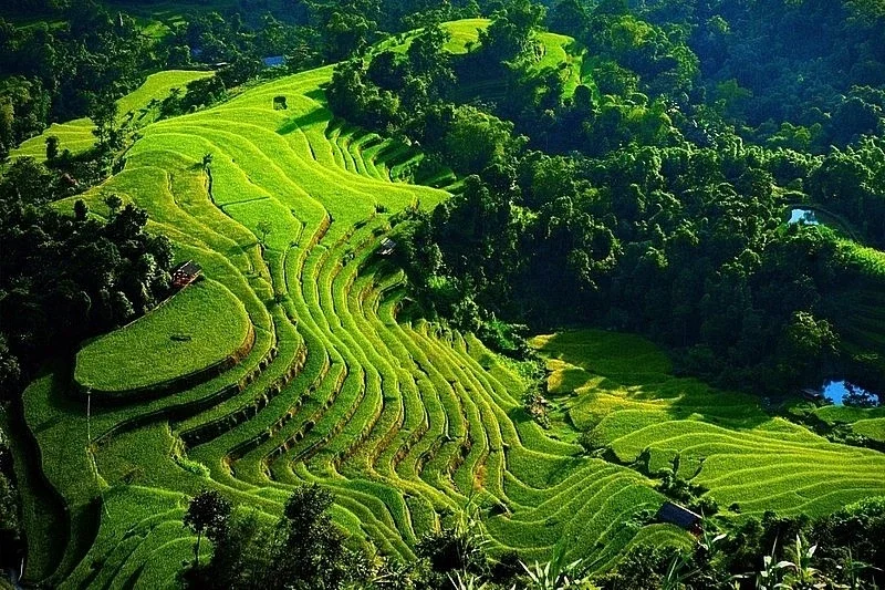 Du lịch Hoàng Su Phì 