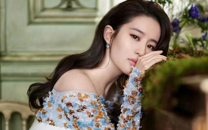 Lưu diệc phi là ai