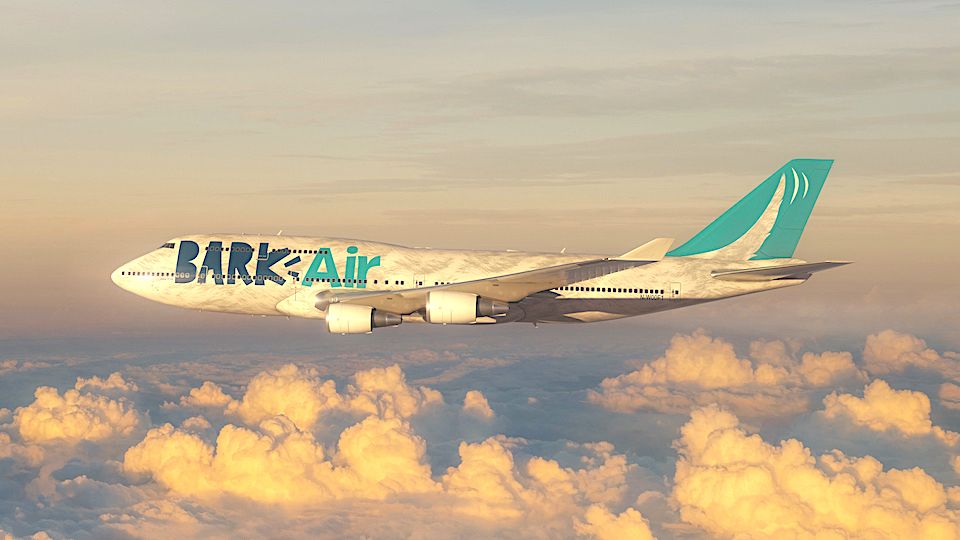 Bark Air - Máy bay cho thú cưng, ưu tiên lợi ích của những chú chó