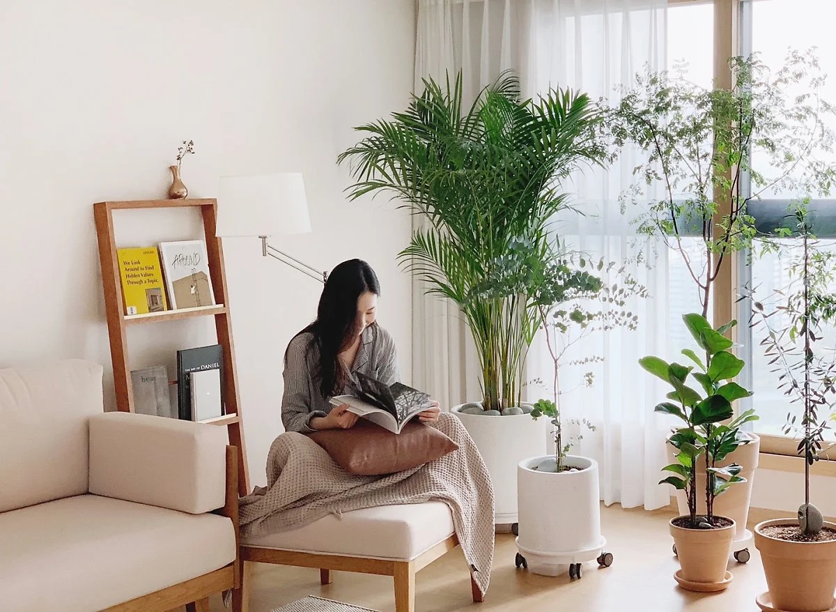Học người Nhật sắp xếp nhà cửa phong cách tối giản: Vừa tiết kiệm tiền lại hạnh phúc, thảnh thơi