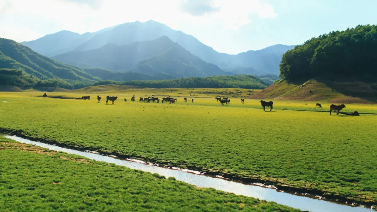 Du lịch Đà Nẵng