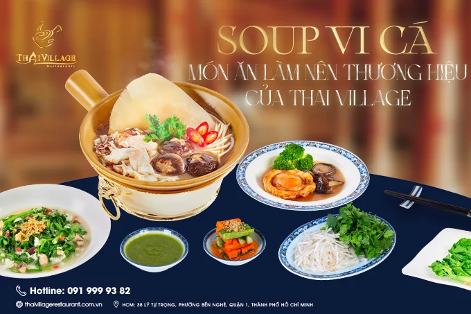 Nhà Hàng Vi Cá Bào Ngư “Đáng Tiền Nhất” Quận 1