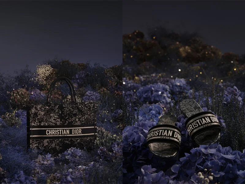 BST Dior Cruise 2023