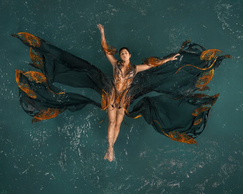 Iris van Herpen Haute Couture