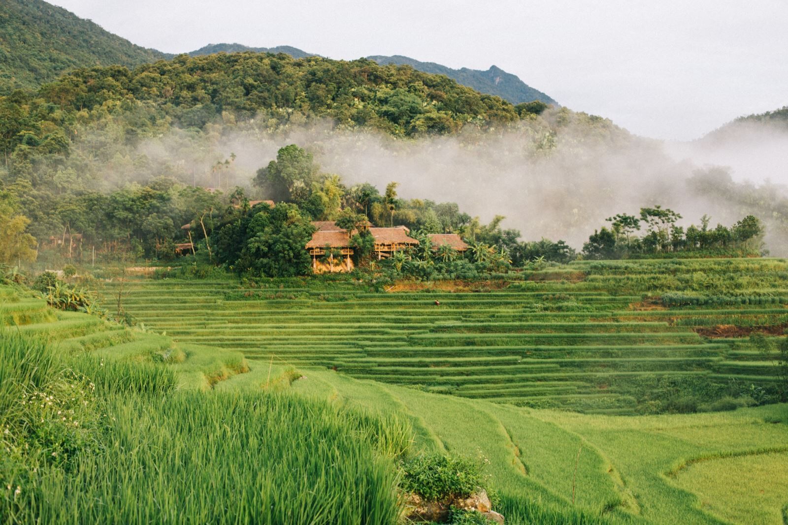 Bá Thước Thanh Hoá