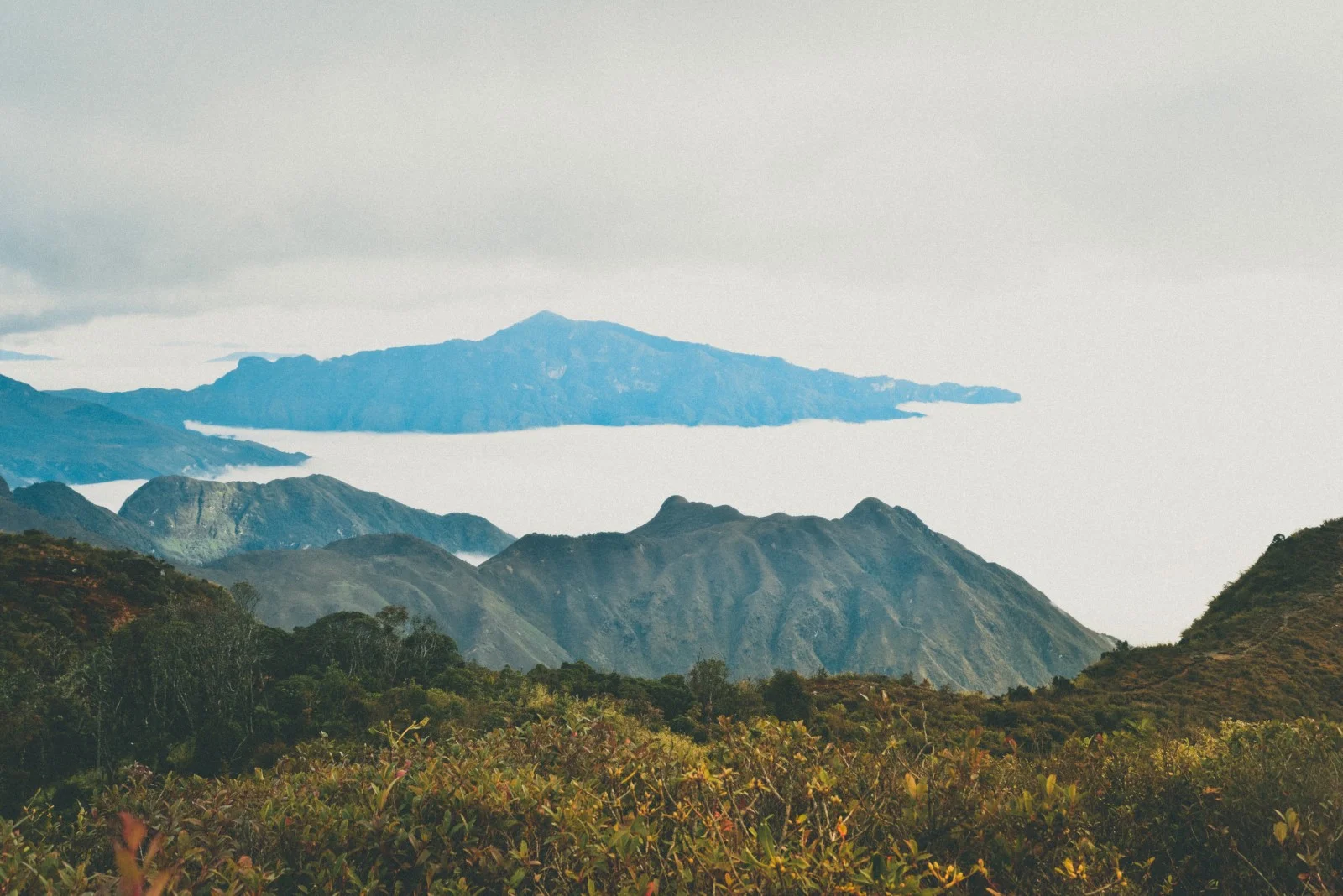 Những cung đường trekking đẹp nhất Việt Nam