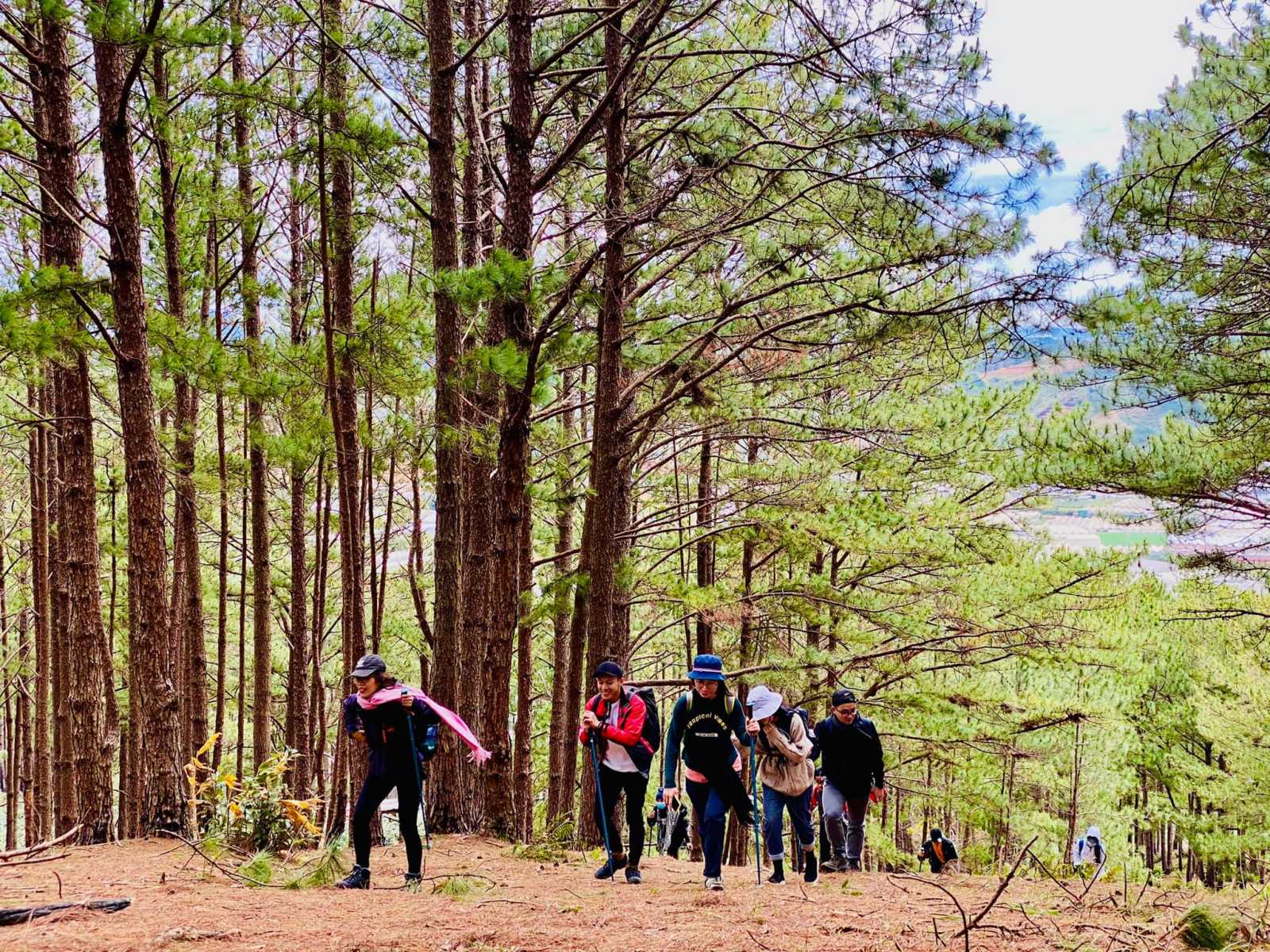 Những cung đường trekking đẹp nhất Việt Nam
