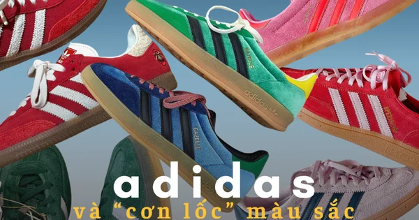 Đế chế màu sắc của adidas đang thống trị mạng xã hội ngay lúc này!