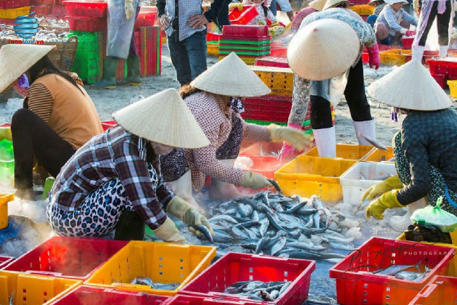 Du lịch đảo Phú Quý 