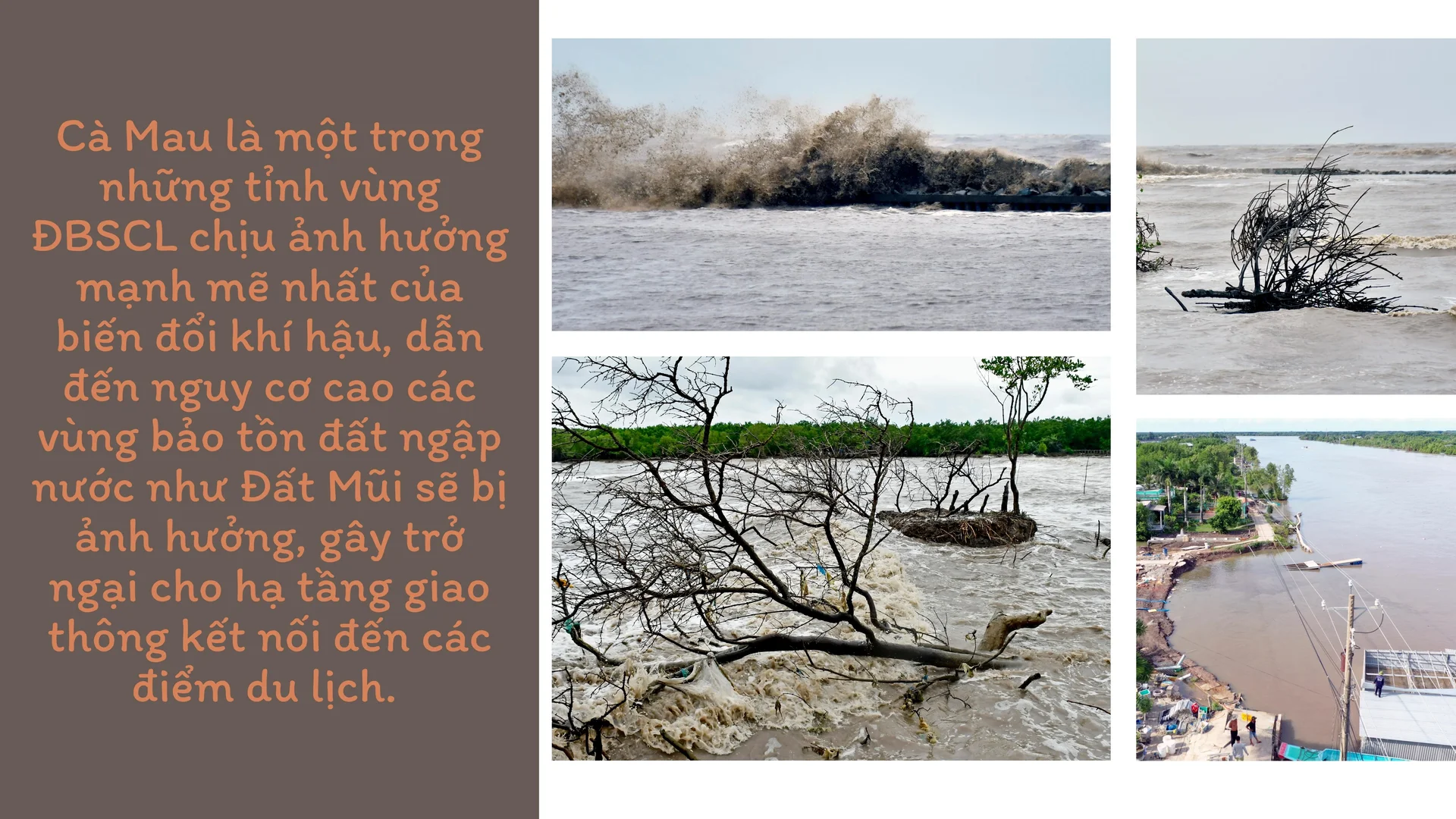 Du lịch cộng đồng Cà Mau