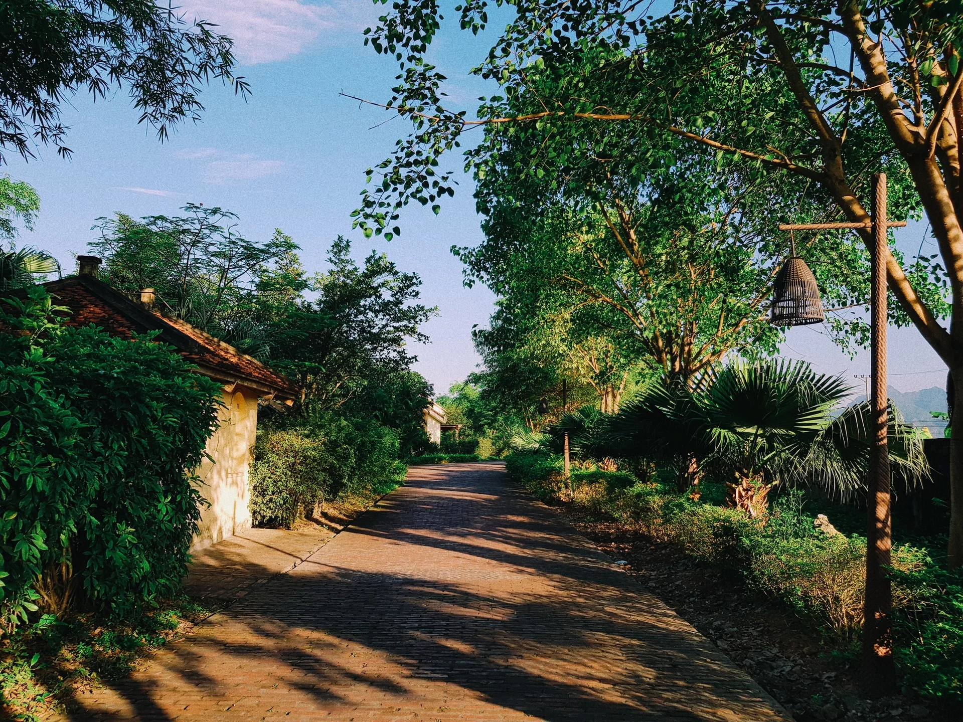 Du lịch Ninh Bình 
