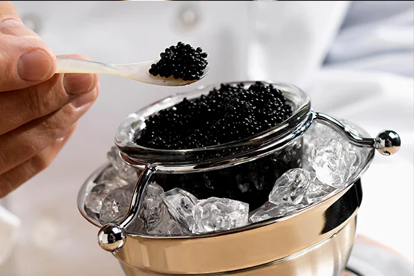 Top các món ăn đắt nhất thế giới siêu xa xỉ sang chảnh cho hội nhà giàu