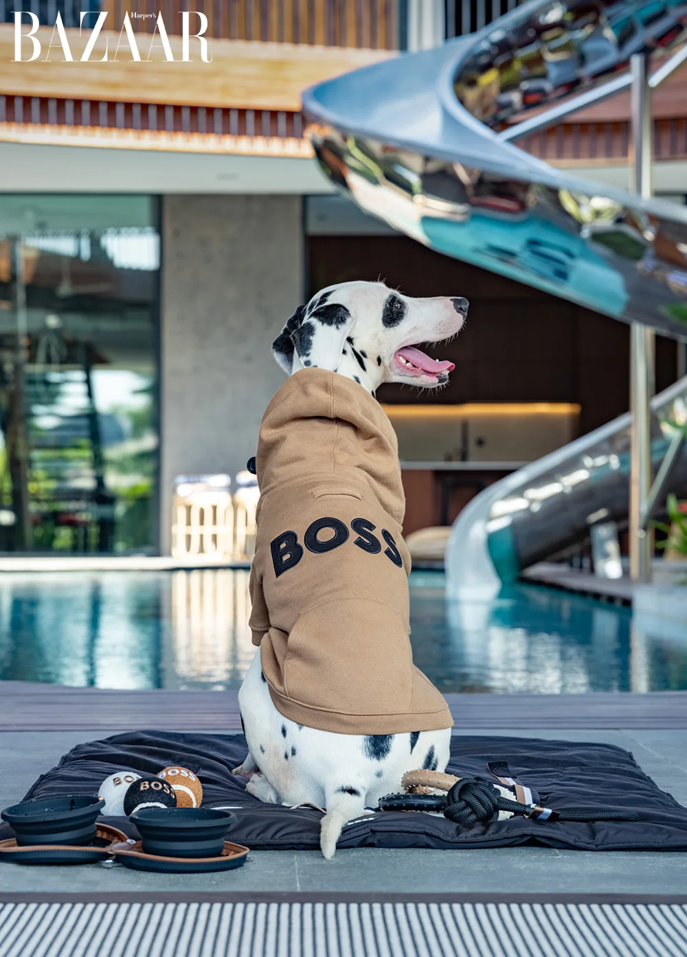 Boss Xuân Hè 2024 Bali