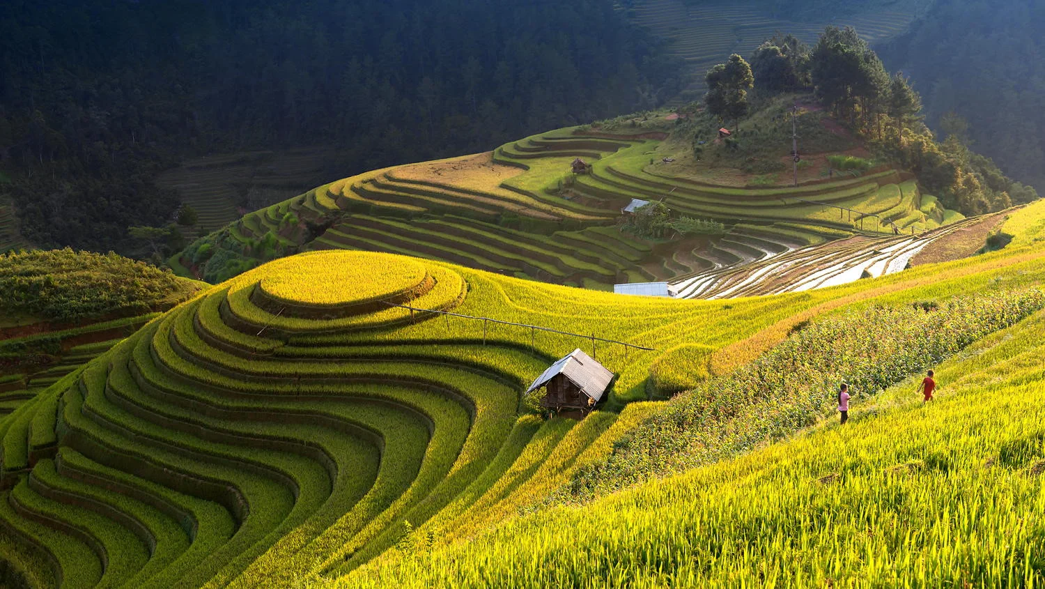 Du lịch Sapa