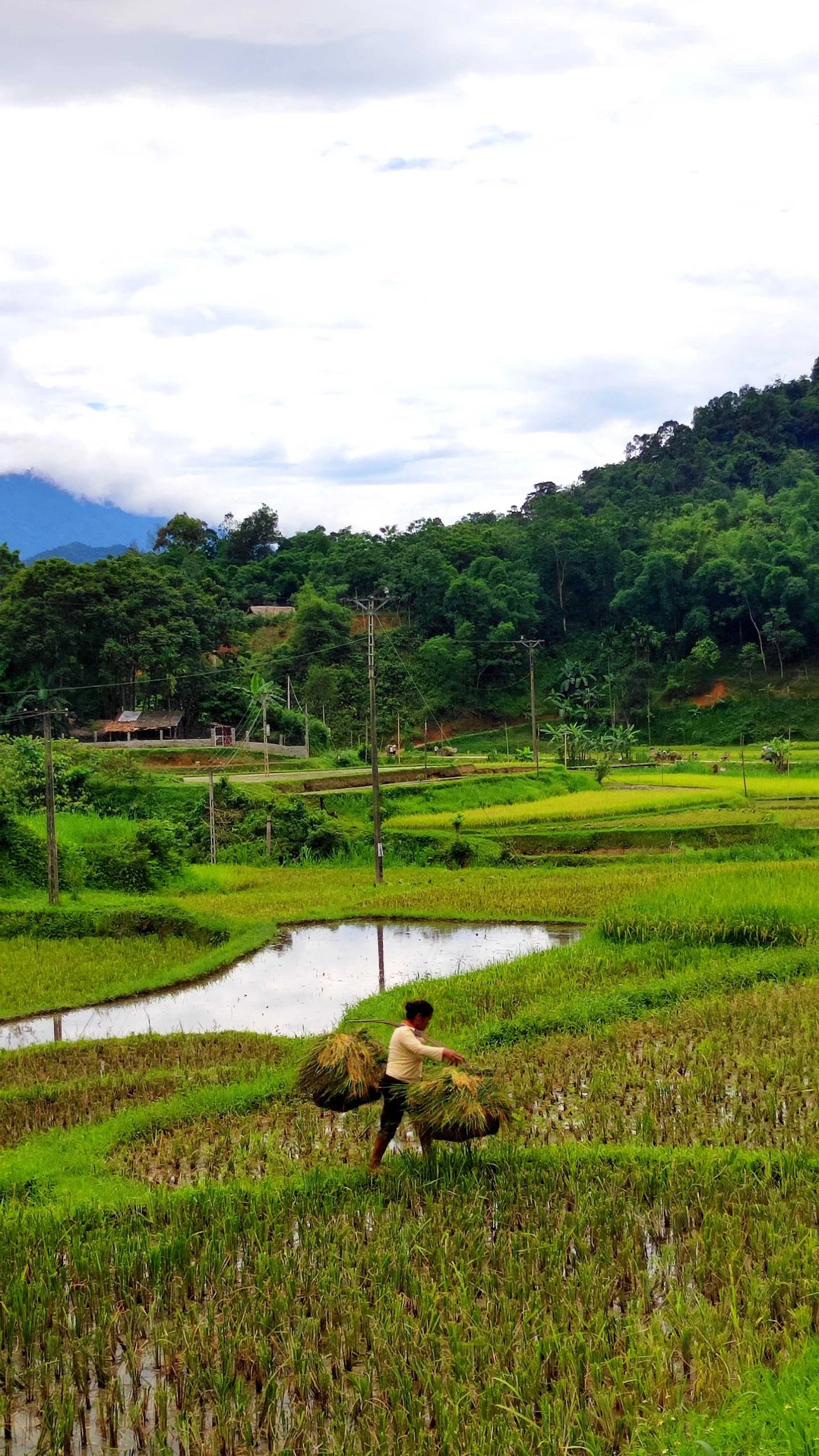 Du lịch Pù Luông