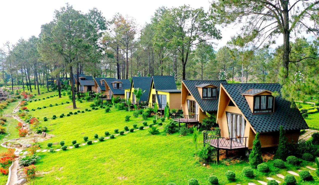 Top 3 resort Mộc Châu giá rẻ VIEW CỰC ĐẸP decor xinh đáng để dừng chân