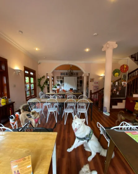  Quán brunch tại Sài Gòn