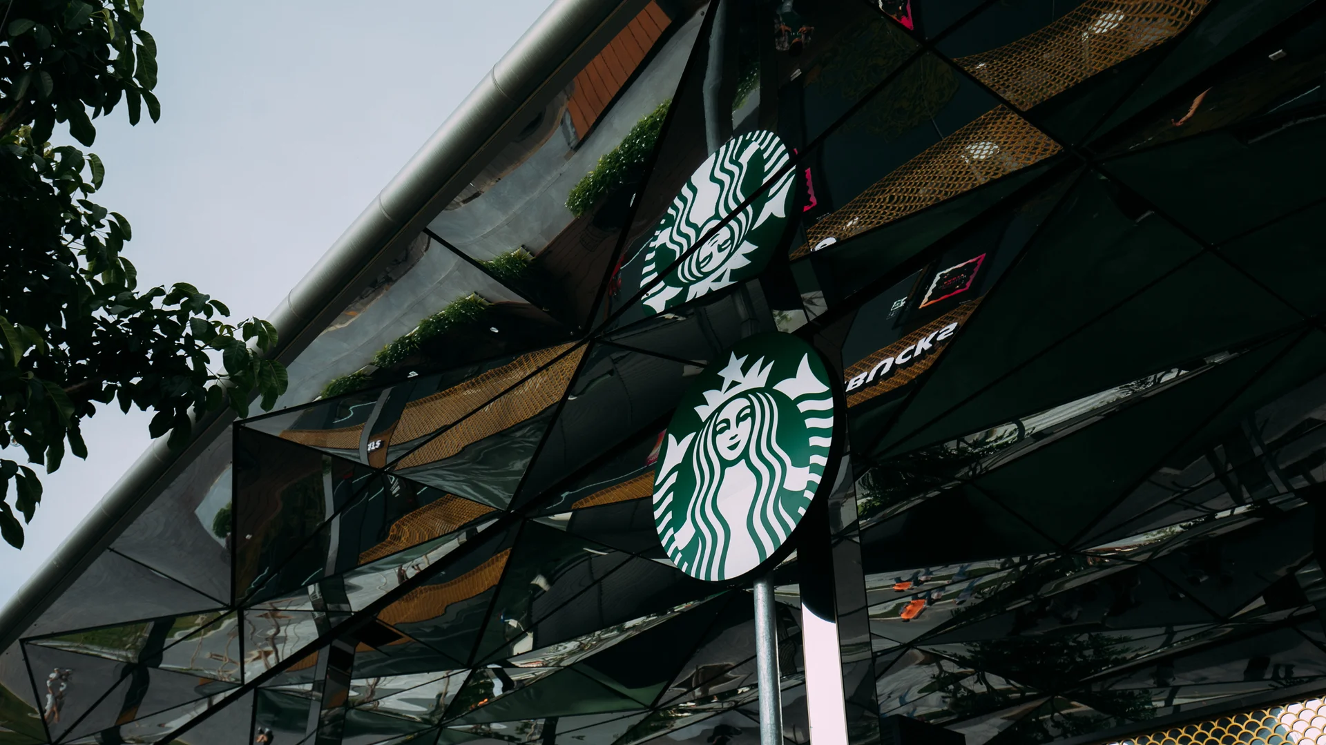 Starbucks chính thức mở cửa hàng có view đẹp nhất Sài Gòn, ngắm trọn thành phố với 100k thì giới trẻ cũng chịu khó check-in rần rần