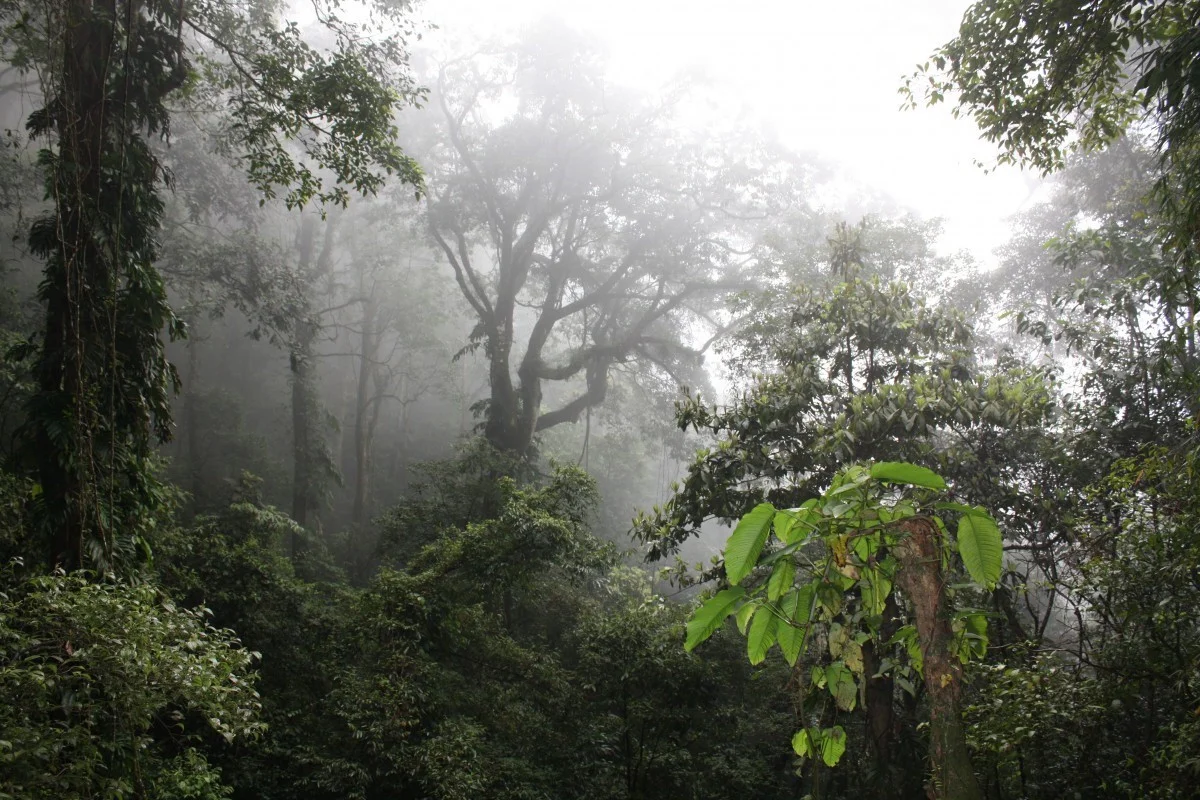 Du lịch lễ 2/9 