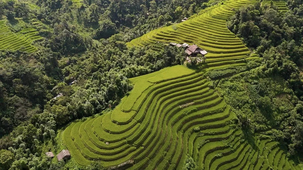 Hoàng Su Phì Hà Giang