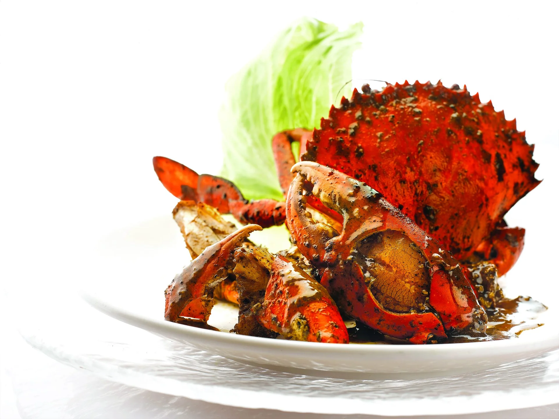 Top 7 nhà hàng Singapore tại Hà Nội mang đậm hương vị nhất định phải thử (Phần 1)