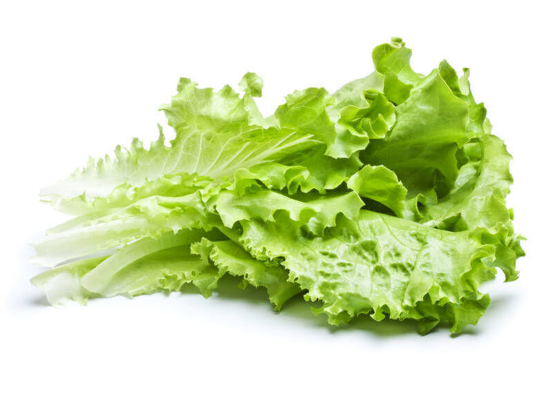 romaine-1524260270-1853-1524270800-2215.jpg