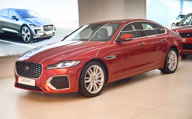 jaguar