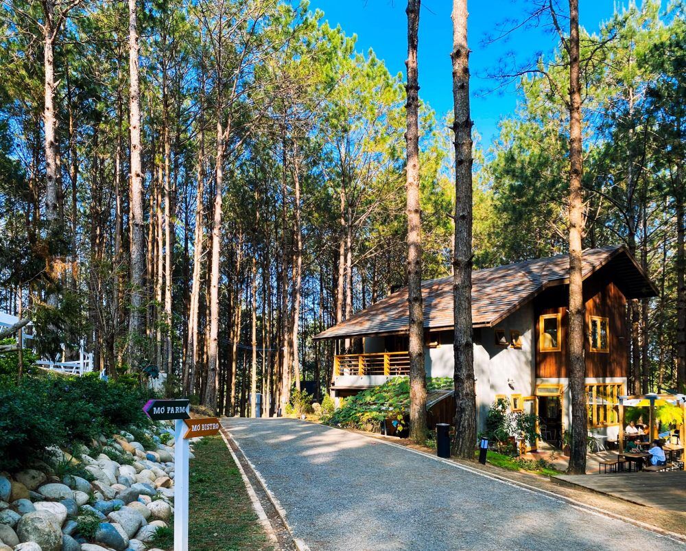 nhà hàng non ở Đà Lạt: Rừng Thông Mơ Farm & Bistro