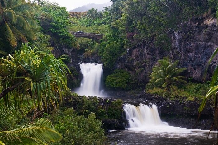 maui