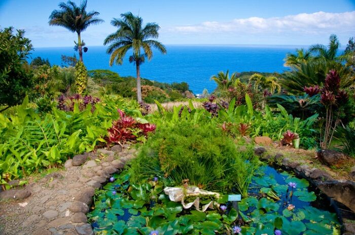 maui