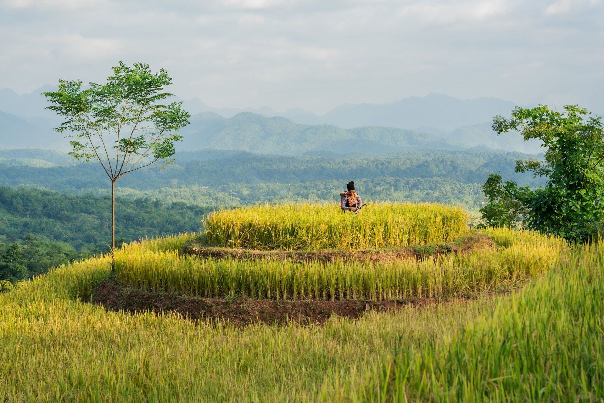 toan canh avana retreat mai chau