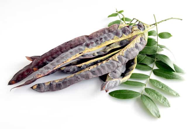 bồ kết