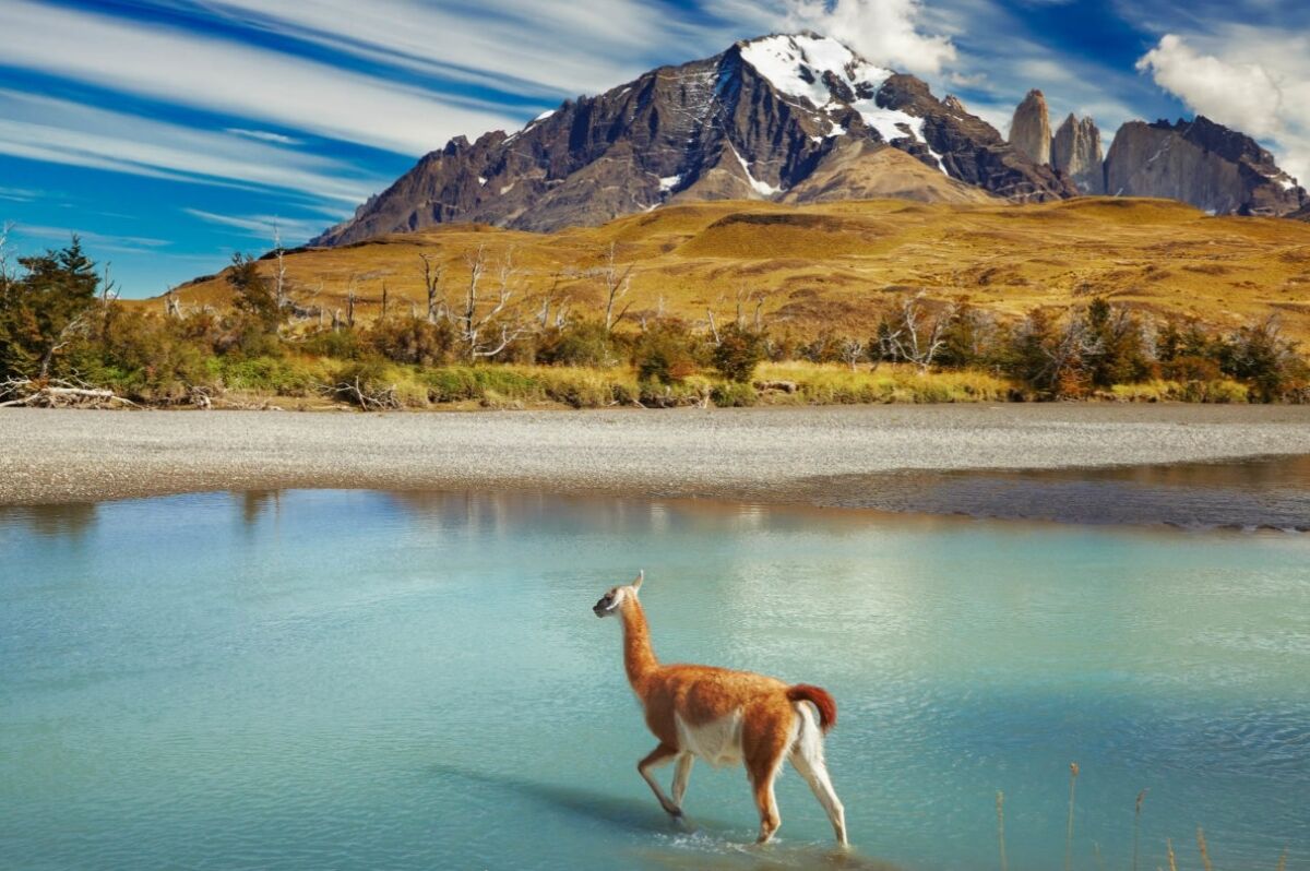 Chile độc đáo qua những điều có thể bạn chưa biết - 12
