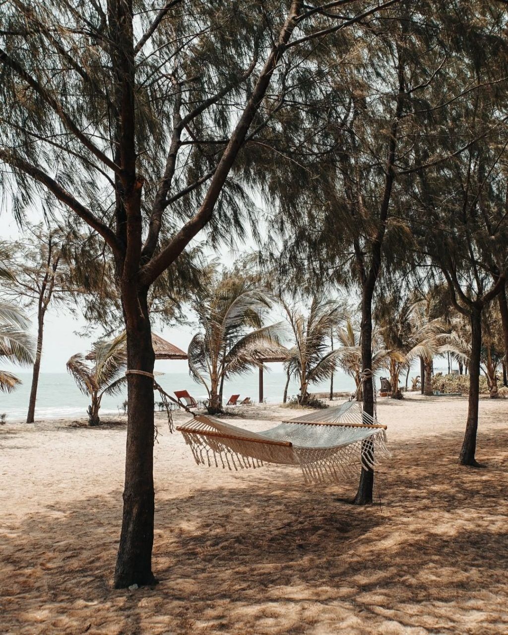 du lịch hồ tràm mùa hè