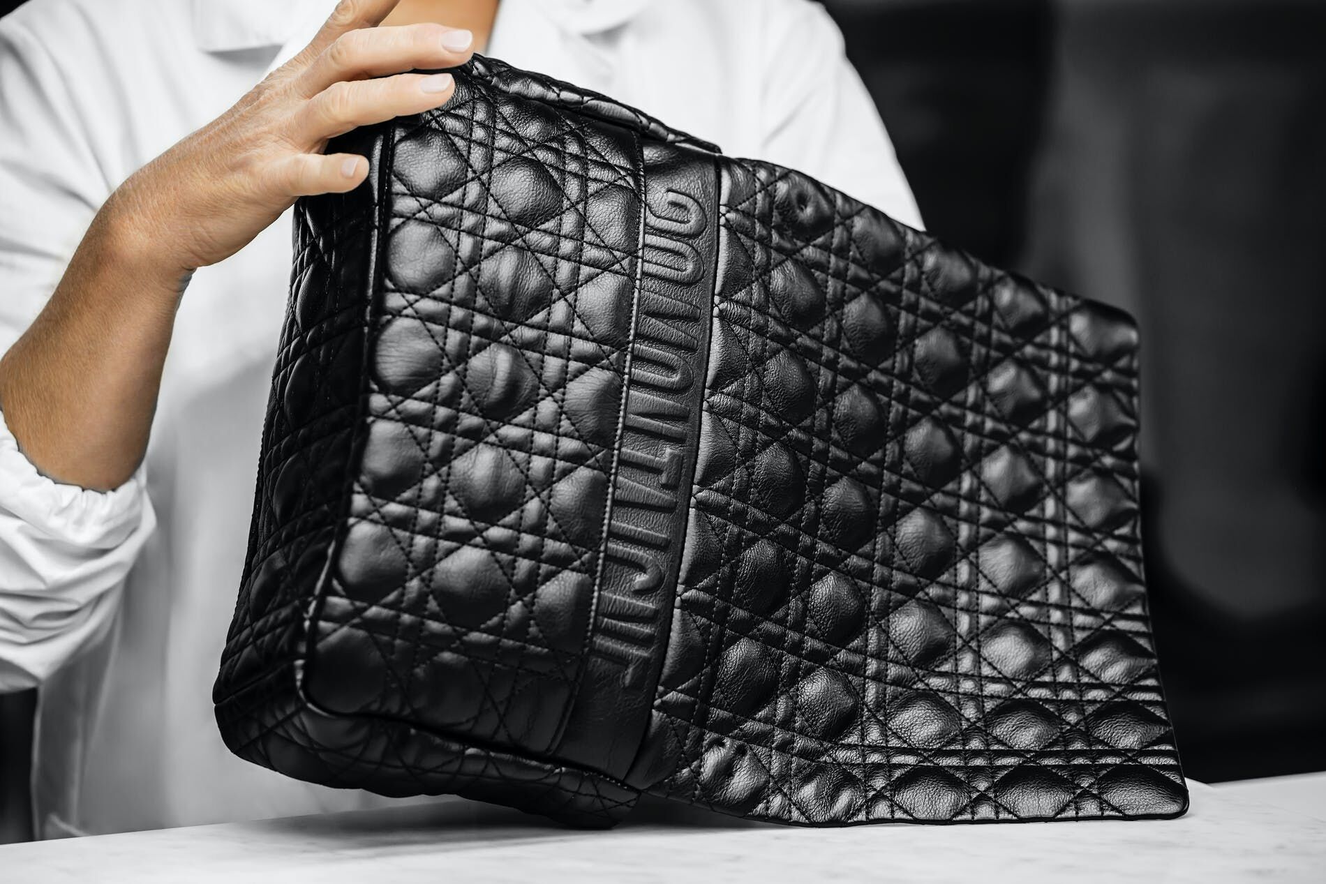 DIOR caro bag back details
