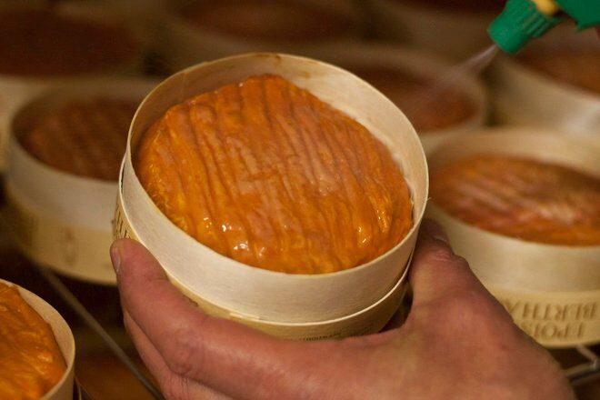 Những loại phô mai “bốc mùi” nhất thế giới - Ảnh 4
