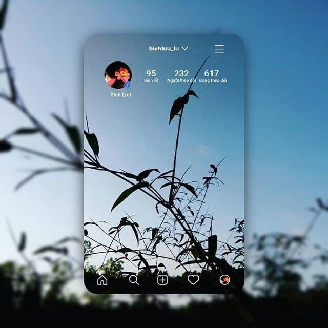 Trào lưu chỉnh ảnh Instagram card được nhiều bạn thực hiện. Ảnh bichluu