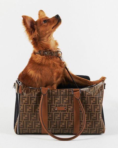 Túi đựng thú cưng Fendi